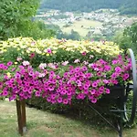 Maison Charmante Avec Jardin A - Vue Sur Montagnes * Haselbourg