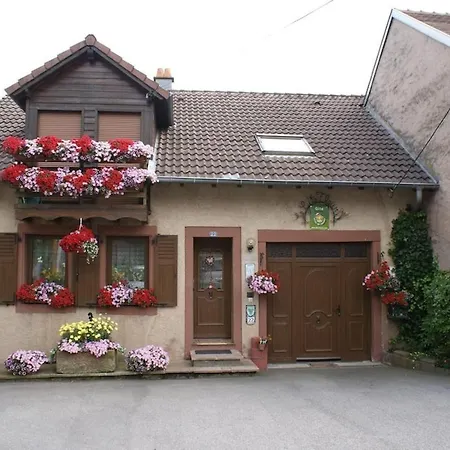 Feriehus Maison Charmante Avec Jardin A - Vue Sur Montagnes Haselbourg