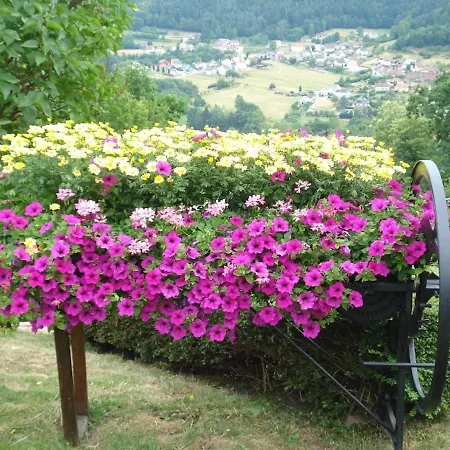 Maison Charmante Avec Jardin A - Vue Sur Montagnes * Haselbourg