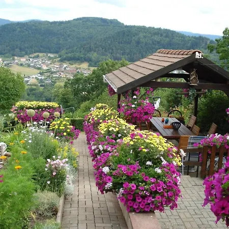 Maison Charmante Avec Jardin A - Vue Sur Montagnes Haselbourg