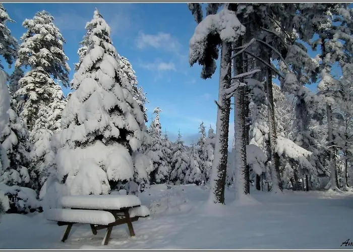 Maison Charmante Avec Jardin A - Vue Sur Montagnes